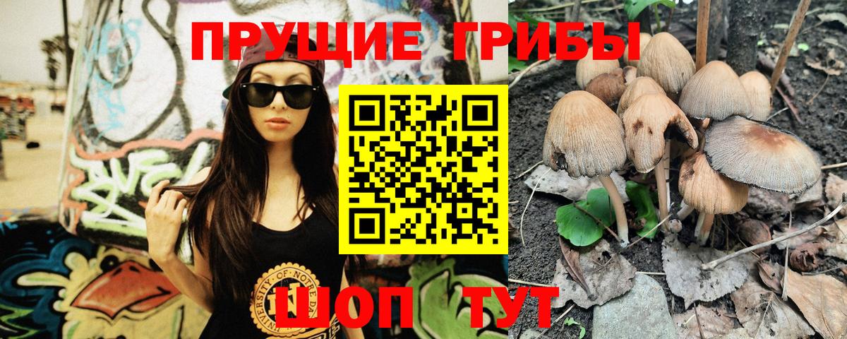 Галлюциногенные грибы Psilocybe Тамбов