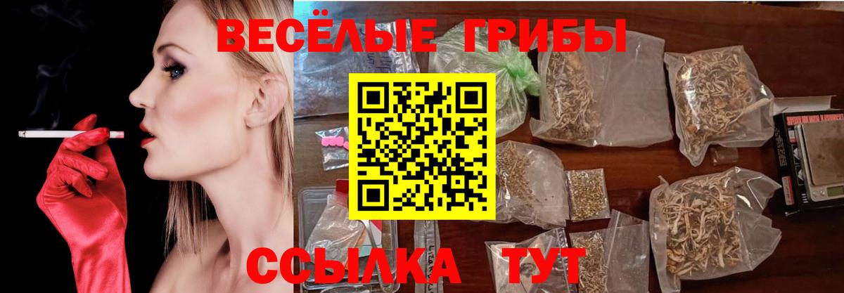 Псилоцибиновые грибы Psilocybe  Псилоцибиновые грибы Psilocybine cubensis  Вход с VPN  Тамбов 